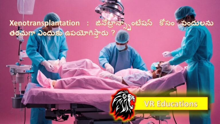 Xenotransplantation